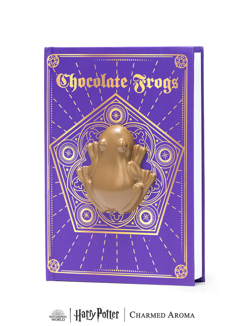 Harry Potter™ Chocolate Frog Scented Squish Journal